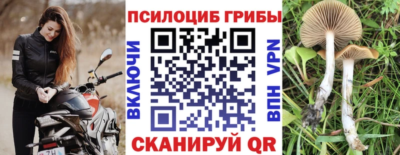 наркошоп  Сочи  Псилоцибиновые грибы MAGIC MUSHROOMS 