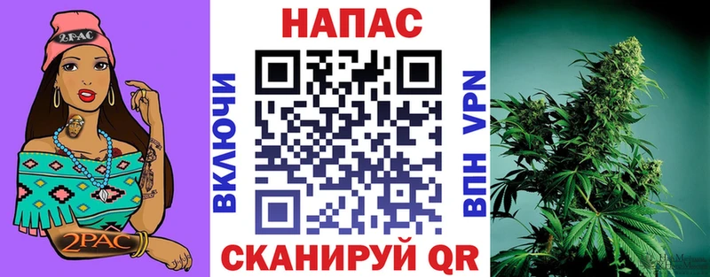 Марихуана THC 21% omg рабочий сайт Сочи где можно купить